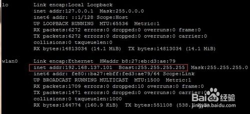 树莓派+花生壳搭建web服务器