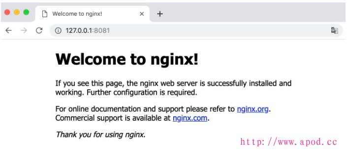 Docker 安装 Nginx